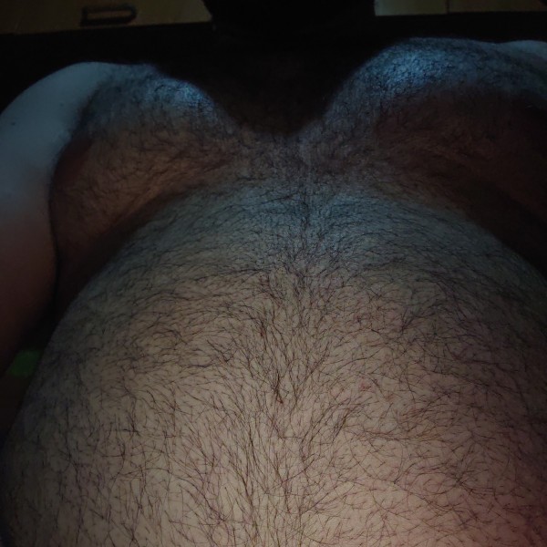 Xtudr - Bow: Gordo fuerte rapado con barba
