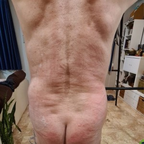 Xtudr - perromadurobcn: esclavo con pocos límites, material y sitio busco Macho kabron que me use y torture ahora para su placer durante tod...