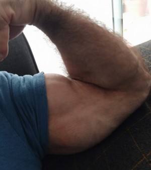 Xtudr - Musclebear2024: Quiero que mi esclavo me haga la vida más fácil, que sea un pagafantas, un cashfag
El que algo quiere algo le cuesta...