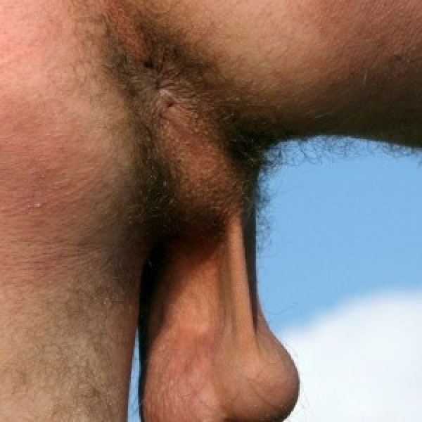 Xtudr - ASS-DESTROYER: Me ponen a tope los culazos de pavos masculinos. PASO DE CULOCOÑOS. Aunke mola dejar el ojal abierto y desfondao. mol...