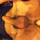 Xtudr - SumisoAnal: Soy un chico de...