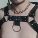 Xtudr - Pup-: A dog wants to surren...