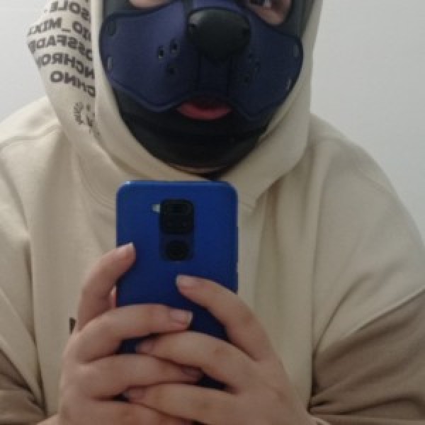 Xtudr - pupfyro:  Puppy, buscando amo para que me enseñe a comportarse como tal 
Dejo mi Telegram, por si preferís hablar por allí, que lo s...