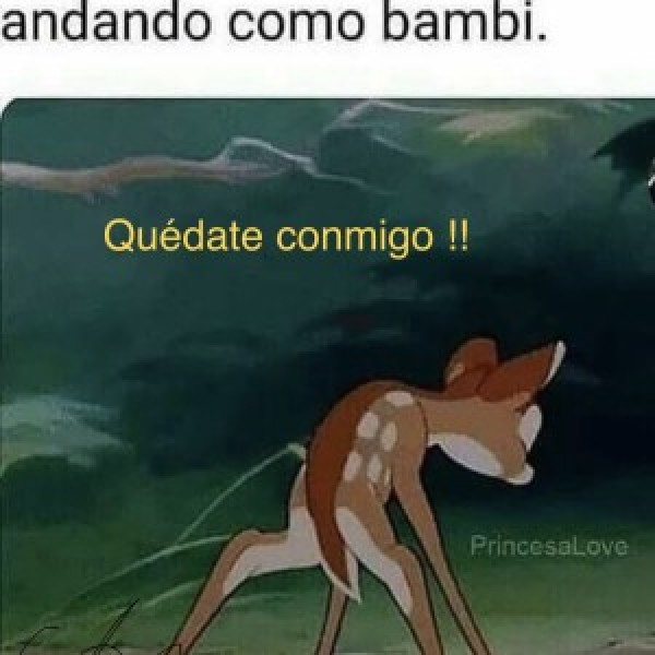 Xtudr - amobruto: Amo cañero busco compartir piso con algún sumiso obediente. Soy legal. Tengo un sumiso de 19 años .algún WC POR BIZKAYA !!...