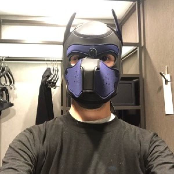 Xtudr - PuppyMX990: Busco a un handler que me entrene, soy sumiso y obediente por naturaleza soy nuevo en esto y estoy descubriendo este mun...