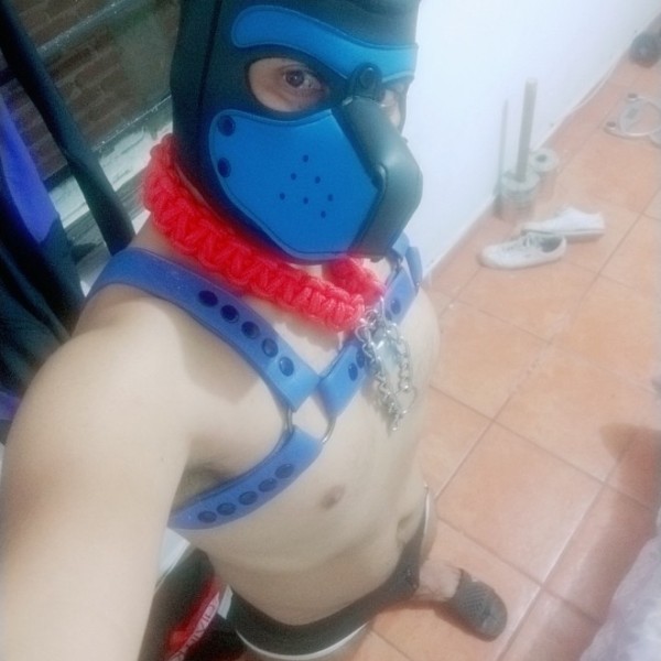 Xtudr - Rubberboy25: Soy un chico rubber, soy masoca, estar en castidad y ser castigado como debe de ser un ser indefenso y ser un  esclavo ...