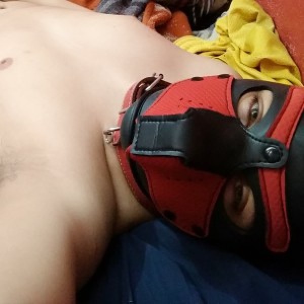 Xtudr - zeroi: Saludos, , soy un perrito que le gusta pasar un buen rato, tengo 26 años y estoy en la unviersidad, prefiero que me traten co...