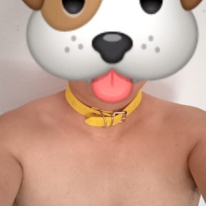 Xtudr - InocentPuppy: Timido, pero con ganas de aprender a ser un buen cachorrito.
https://bdsmtest.org/r/W75aknwE