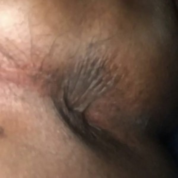 Xtudr - PEROLAMEDORSCAT:  Soy muy sumiso y oral, obediente y morbosos con el hocico bien entrenado para mamar y recibir fluidos… me encanta ...