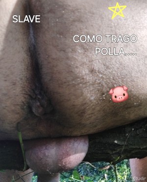 Xtudr - SlaveBilbao62: SOY un sumiso maduro anal  en BILBAO y me va sexo cerdo pervertido, me van maduros preferiblemente, ser meado, cuerpo...