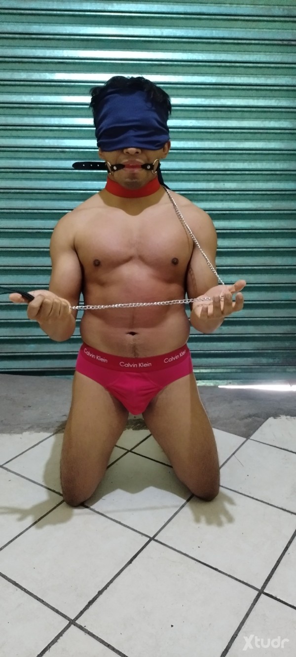 Xtudr - CulturistaDom: Dominante, chakal, fuerte, estricto me gusta someter putitos en cdmx 