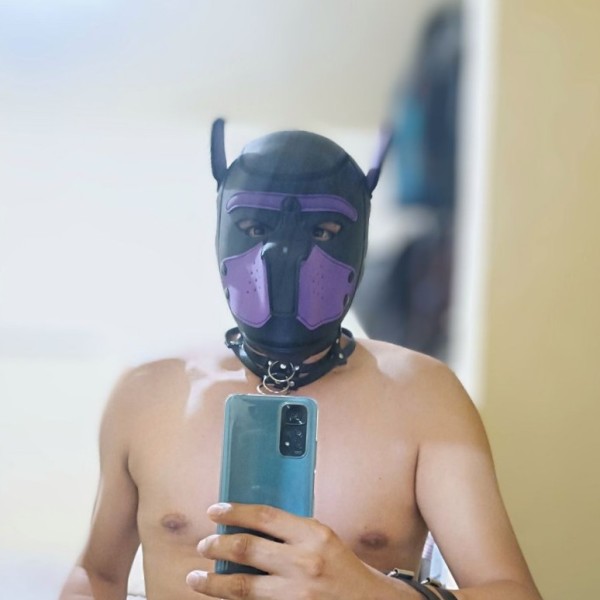 Xtudr - pup_luke: puppy play
