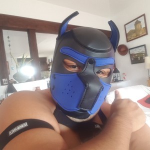 Xtudr - ositolatinoX: busco amo que quiera domesticar a este latino robusto perro.
Con ganas de pasarla bien.
Y satisfacer. Soy versátil así...