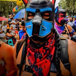 Xtudr - Pup_Leeko: Mi nombre de cachorro es Leeko 
Soy mayormente sumiso
Fetiches: Juegos de impacto, masoquismo, bondage, inmovilización, p...