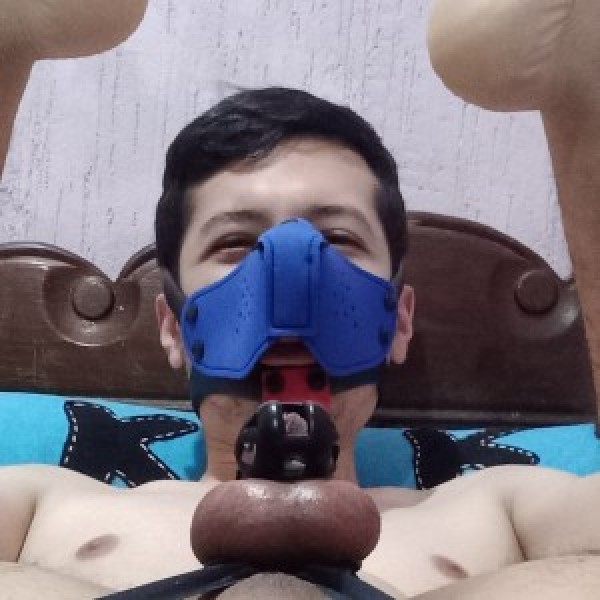 Xtudr - GeekPup: En castidad por cuenta propia, gusto por dildos y fisting.
No vengas a exigir de primeras, hay que hablar y conocernos prim...