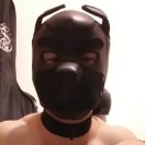 Xtudr - keeperpup: soy un cachorro ...