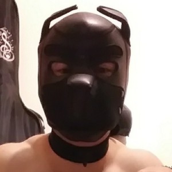 Xtudr - keeperpup: soy un cachorro Switch que le gusta el BDSM,andar descalzo, fetichista de pies, el bondage,el pet play,dog training, que ...