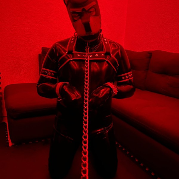 Xtudr - DelsinTheWolf: Soy un furry y pupbastante horny, me encanta hablar con gente asi que porfavor hablame! 
Amante del latex y el bdsm.