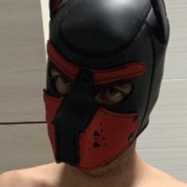 Xtudr - pupdave: Perro sumiso y vicioso (fotos por privado)
Amante del cuero, bdsm
