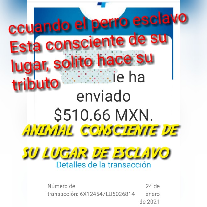 Xtudr - Tibutame y seras mi perra  MASTERJAN
Anda perro, para existir y darle vida a tu existencia debes tributar, así mínimo sirves de algo animal, si no sigues siendo un bastardo sin utilidad, Mierda