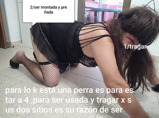 Xtudr - Ideas para Feminizar sumisos Zaragoza busco maduro activo  con sitio